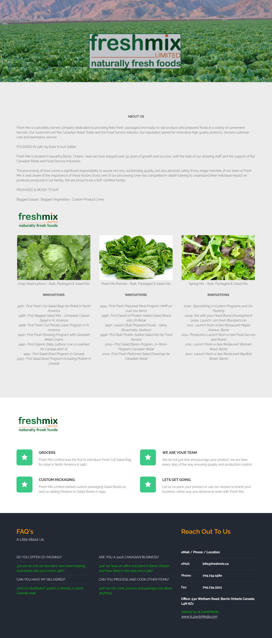 Freshmix Limited Website Design